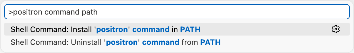 Command Palette showing 'positron path' search with options to install or uninstall the positron command in PATH.